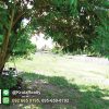 OPPU28003-07-1024