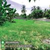 OPPU28003-09-1024