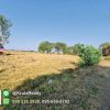 OPUK95024-05-1024