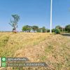 OPUK95024-06-1024