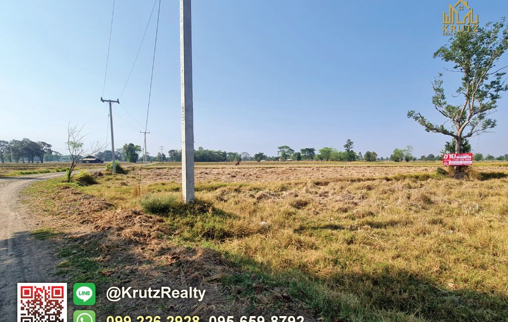 OPUK95024-07-1024
