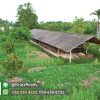 KRNK42002-10-1024