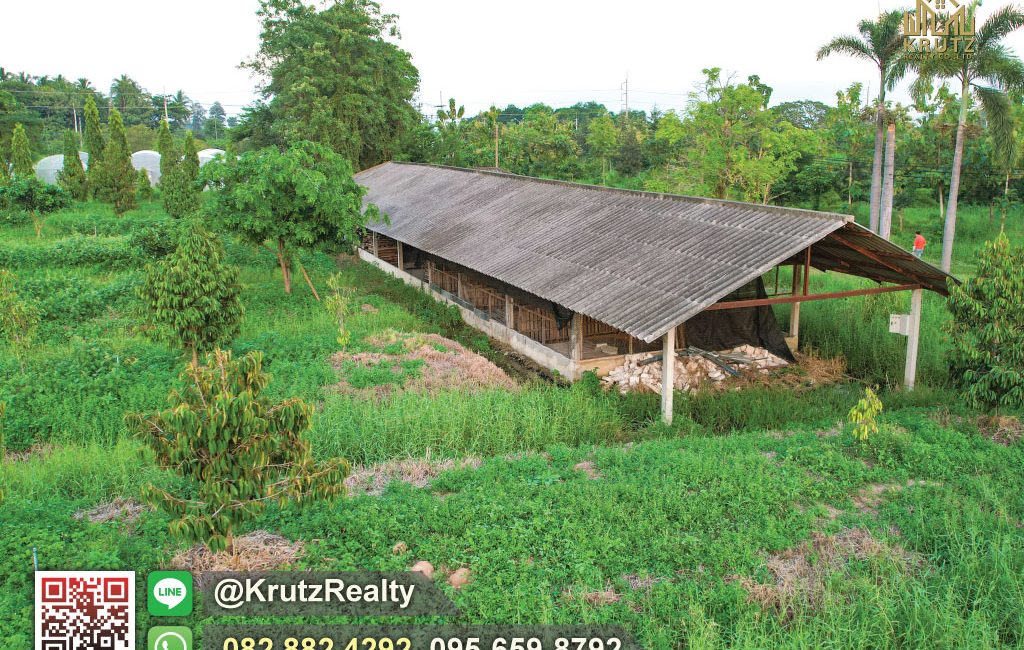 KRNK42002-10-1024