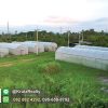 KRNK42002-11-1024