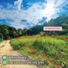 OPOK65009-05-1024