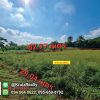 OPTK82010-03-1024