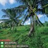 OPTK82010-05-1024