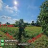 OPTK82010-09-1024