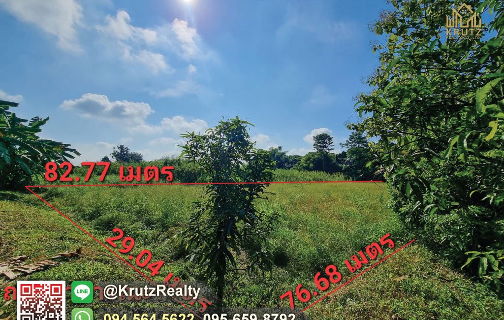 OPTK82010-09-1024