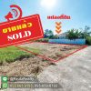 ขาย1
