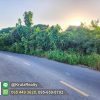 WP69006-09-1024