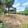 KRUK95045-07-1024