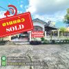 ขาย1