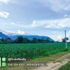 OAOK65018-12-1024