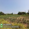 KRNK42011-06-1024