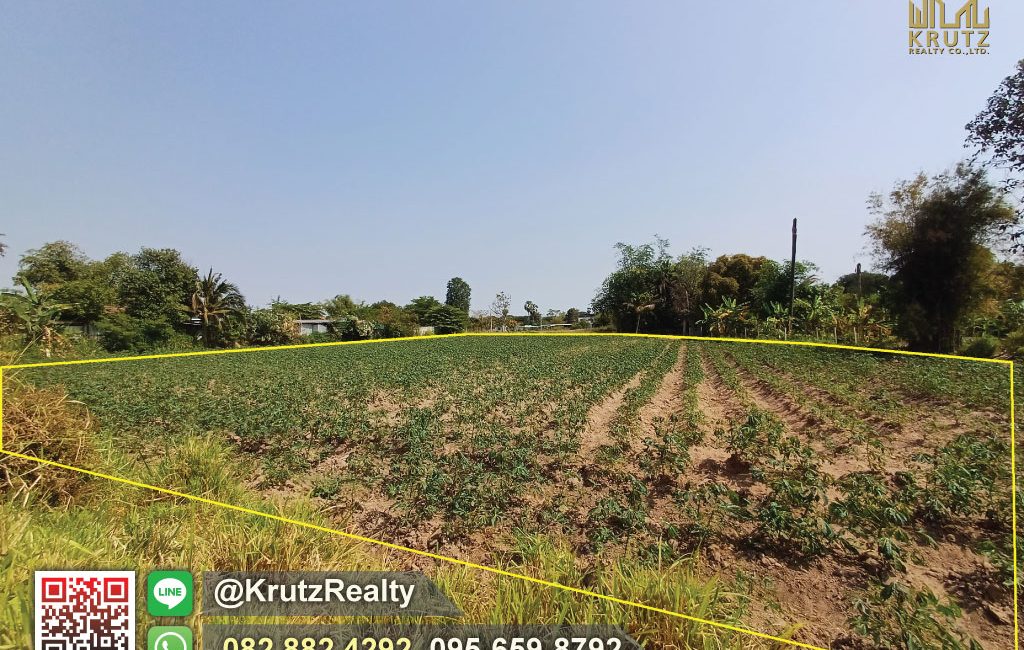 KRNK42011-06-1024