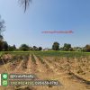 KRNK42011-08-1024