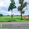 KRUK95052-09-1024