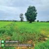 KRAM56012-05-1024