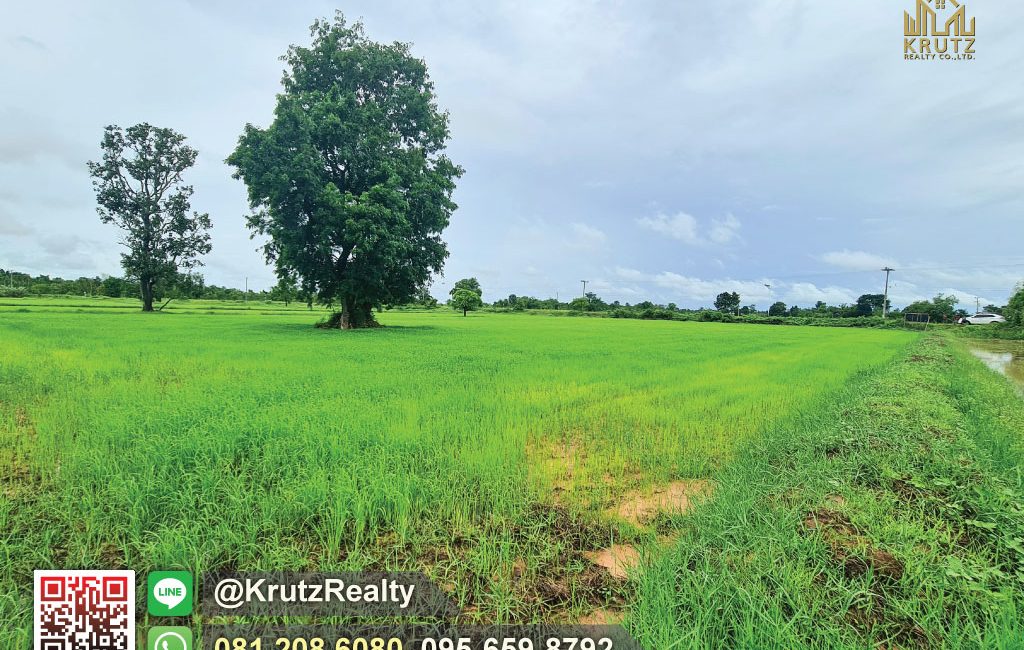 KRAM56012-06-1024
