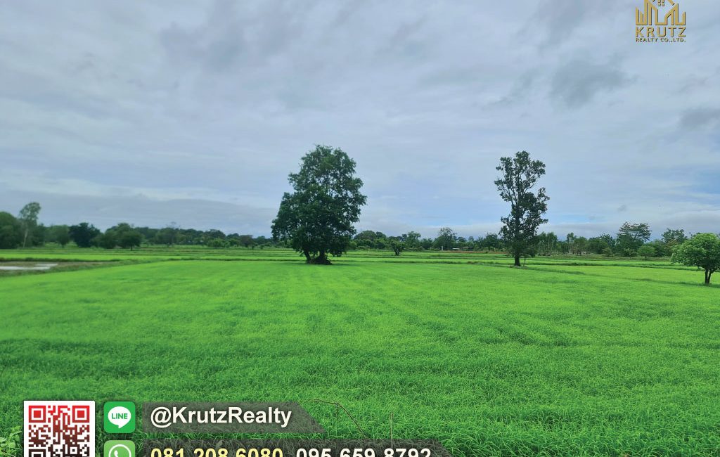 KRAM56012-07-1024