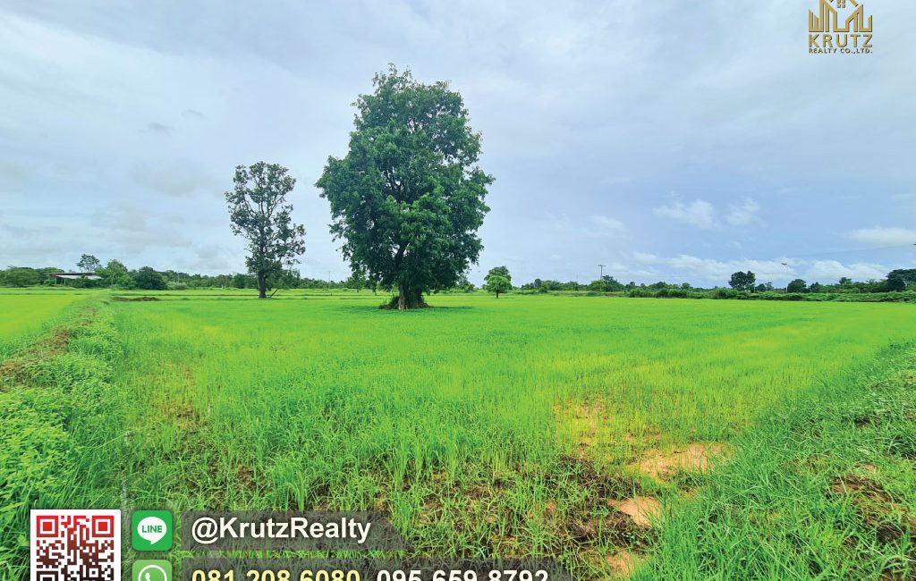 KRAM56012-08-1024