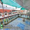 KRTK82017-25-1024