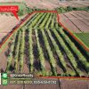 KRAM56014-01-1024