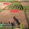 KRAM56014-06-1024