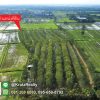 KRAM56014-07-1024