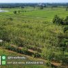 KRAM56014-09-1024